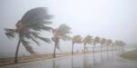  تساقط ثلوج وطقس بارد ورياح قوية يومي الخميس والجمعة(نشرة إنذارية)