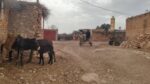  تعميم التغطية بوثائق التعمير فاق 73 في المائة بالعالم القروي