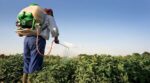  فاس: تهيئة الملكيات الزراعية يمتص 80%من مساعدات الفلاحين