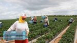  البنك الإفريقي للتنمية يسلط الضوء على العوامل الرئيسية لنجاح مخطط المغرب الأخضر