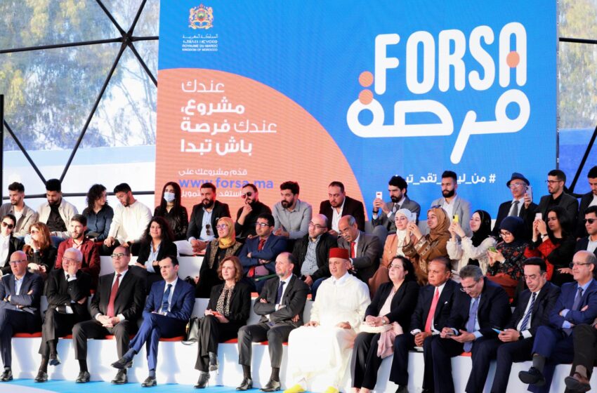 الحكومة تمنح الشباب 10مليون لبدء مشاريعهم. وهذه شروط الاستفادة