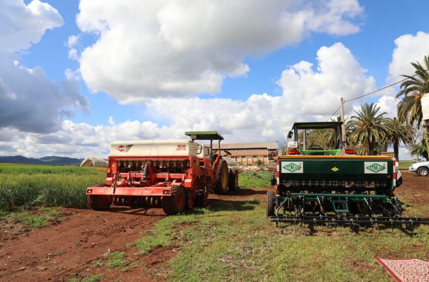 الشرق: حوالي 59ألف كساب يستفيد من عملية توزيع الشعير المدعم