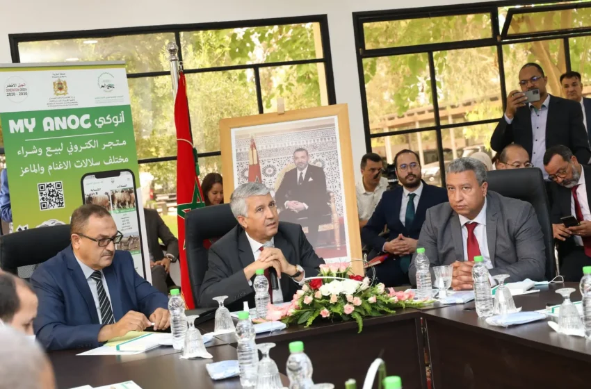 إطلاق المنصة الرقمية “MyANOC” لبيع وشراء الأغنام والماعز