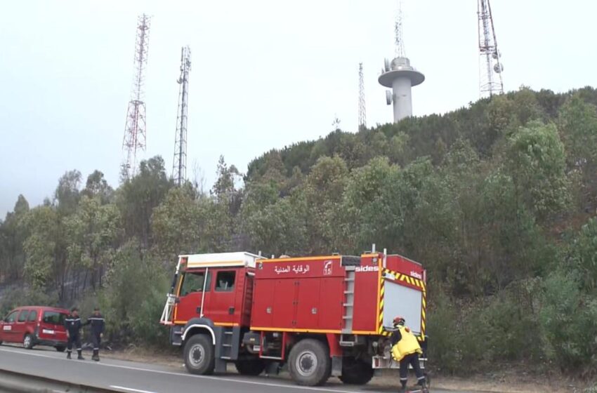 السيطرة على حريق جبل لحبيب..والنار أتت على500 هكتار