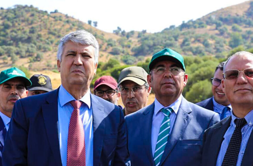 وزارة الفلاحة تتعهد بإحداث خلايا لتتبع وتقييم تأثير حرائق الغابات