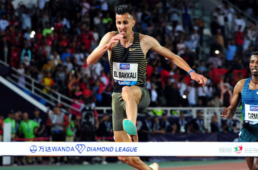  البقالي يحقق أسرع توقيت ويتأهل بسهولة الى النهائي