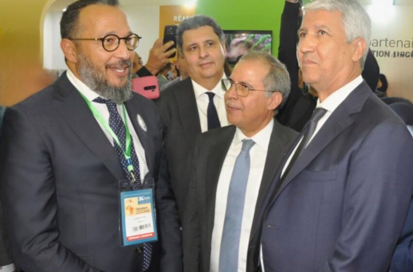 تغليف وعبوات المواد الغذائية..MOOKA Environnement تستحوذ على شركة  PLATO’F