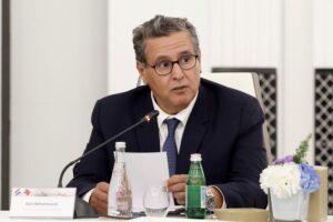 أخنوش الماء