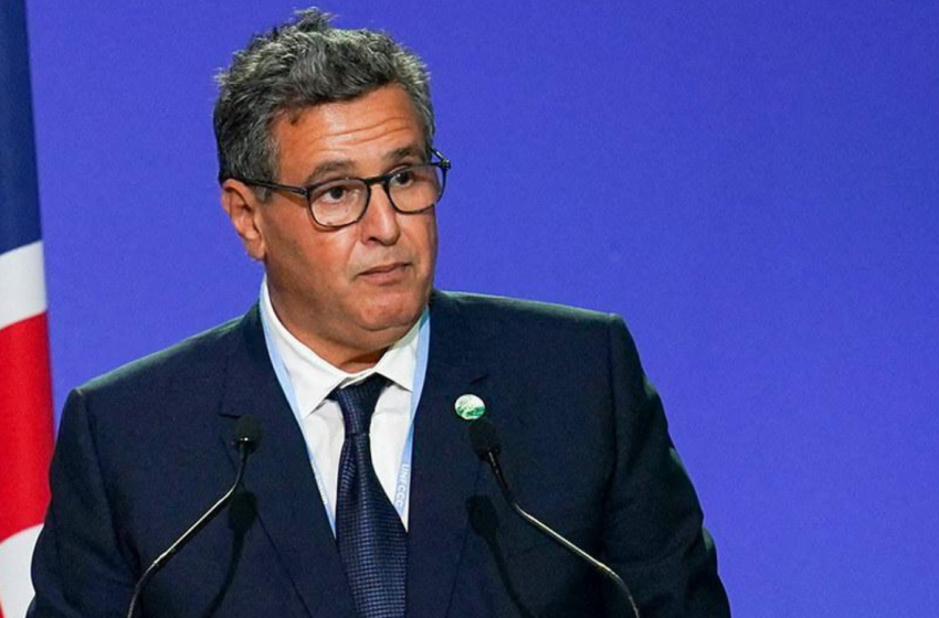 بسبب صفقة تحلية مياه البحر..برلمانية تهاجم أخنوش