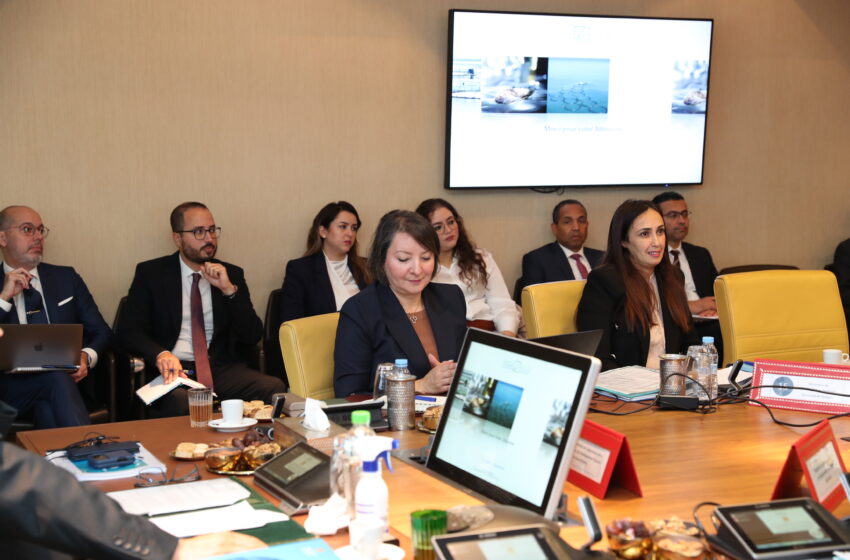 22 مشروعا لإعطاء دفعة كبيرة لتطوير قطاع تربية الاحياء المائية البحرية سنة 2024