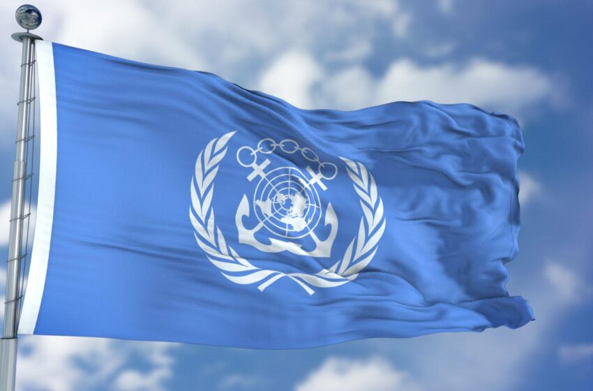 المنظمة البحرية الدولية..إعادة انتخاب المغرب اعتراف دولي بالتقدم الذي أحرزته المملكة