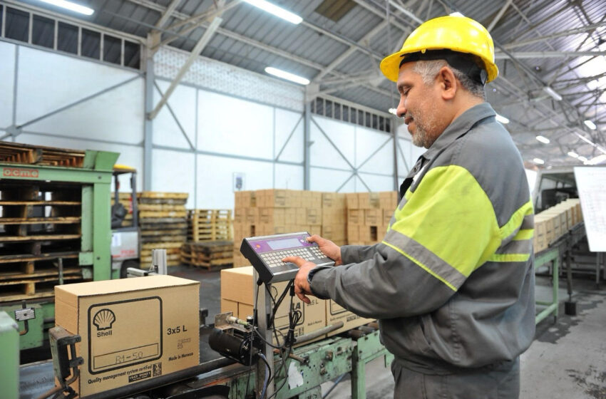 “فيفو إنيرجي” تطلق مجموعة “شال هليكس” الجديدة