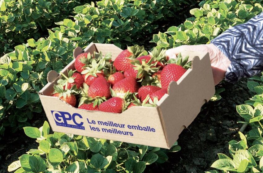 شركة الغرب للورق والكرتون GPC تحصل على شهادة BRCGS العالمية