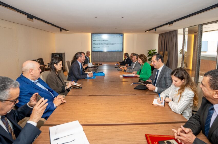 عمور تترأس الاجتماع الثاني للجنة القيادة لبرنامج “الكنوز الحرفية المغربية”