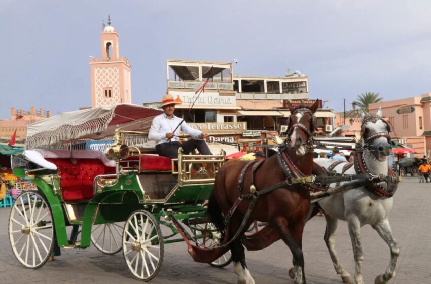 مراكش: “الكوتشي”..متعة سياحية بنكهة خاصة خلال رمضان