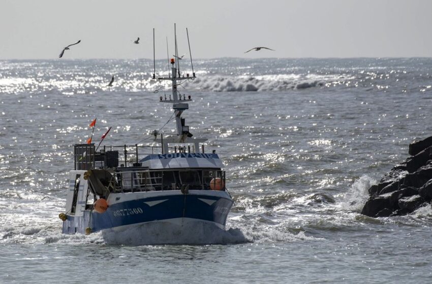 بودن: اقتصاد المحيطات..4 فوائد متوقعة