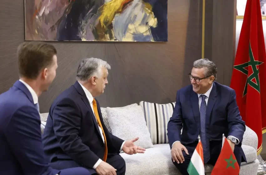 مراكش.. أخنوش يتباحث مع نظيره الهنغاري تعزيز التعاون بين البلدين
