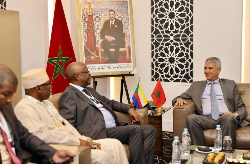 التعاون في المجال الفلاحي محور مباحثات لصديقي مع نظرائه الأفارقة