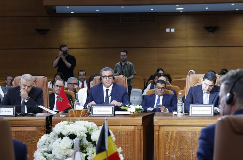 أخنوش ينوه بمستوى الحوار السياسي وبالتطور النوعي لعلاقات التعاون بين المغرب وبلجيكا