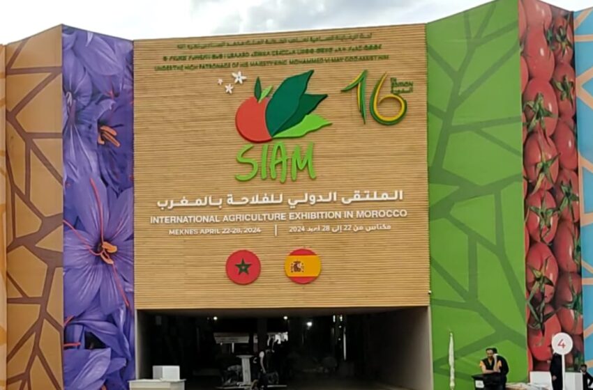 إسبانيا ضيف الشرف في الملتقى الدولي للفلاحة بمكناس