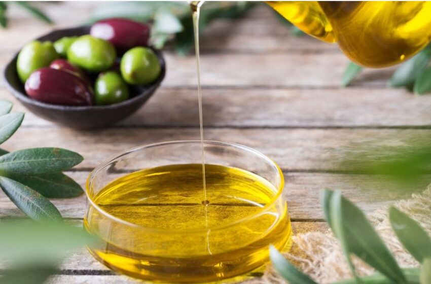 زيت الزيتون لجهة بني ملال ضمن 12 المتوجة في المباراة الوطنية بمكناس