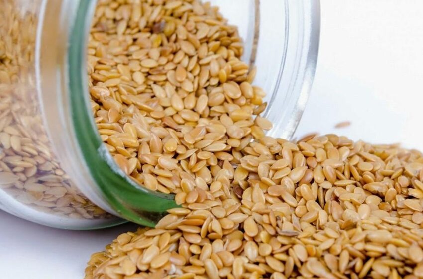 جهة بني ملال تساهم ب95 في المائة في الإنتاج الوطني للسمسم