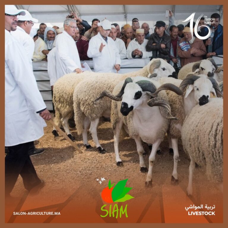 الفلاحة