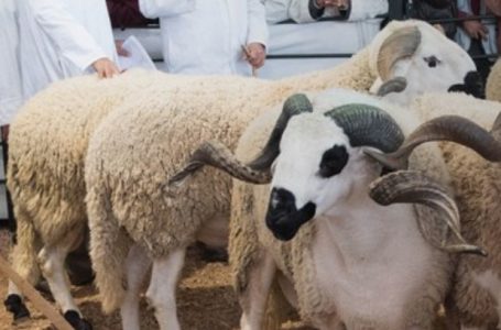 الفلاحة