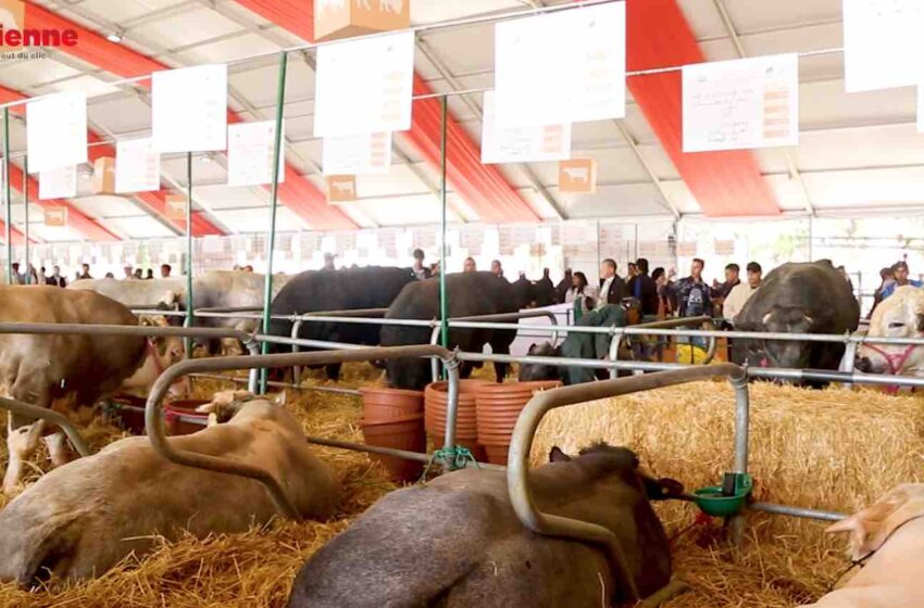 وزير الفلاحة الاسباني: فخورون بأننا الشريك التجاري الأول للمغرب