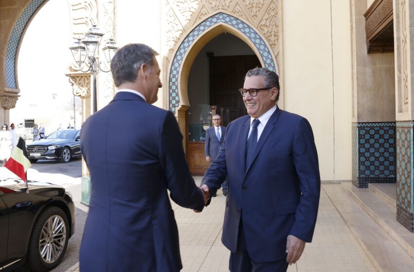 الصحراء..بلجيكا تكشف موقفها من مبادرة الحكم الذاتي