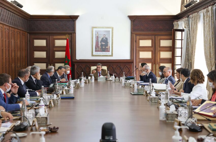 مجلس الحكومة.. صديقي يقدم عرضا حول برنامج التحضير لعيد الأضحى