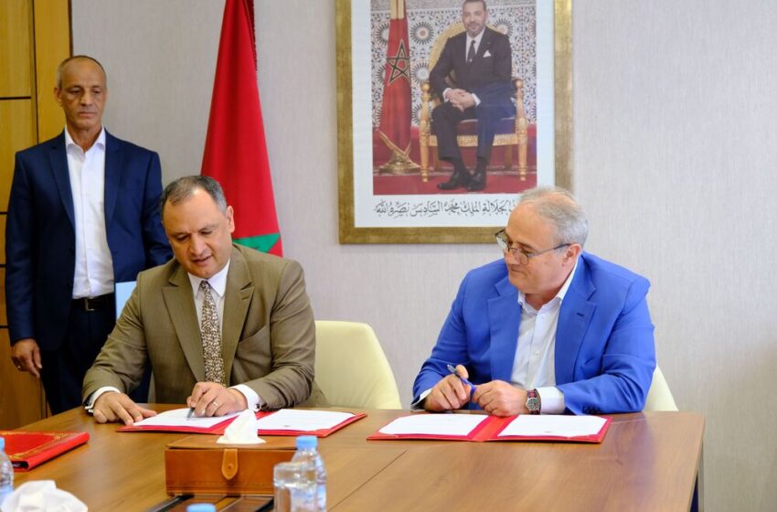 المجموعة الإيطالية NUTI IVO تعتزم إحداث مدبغة عصرية بالمغرب