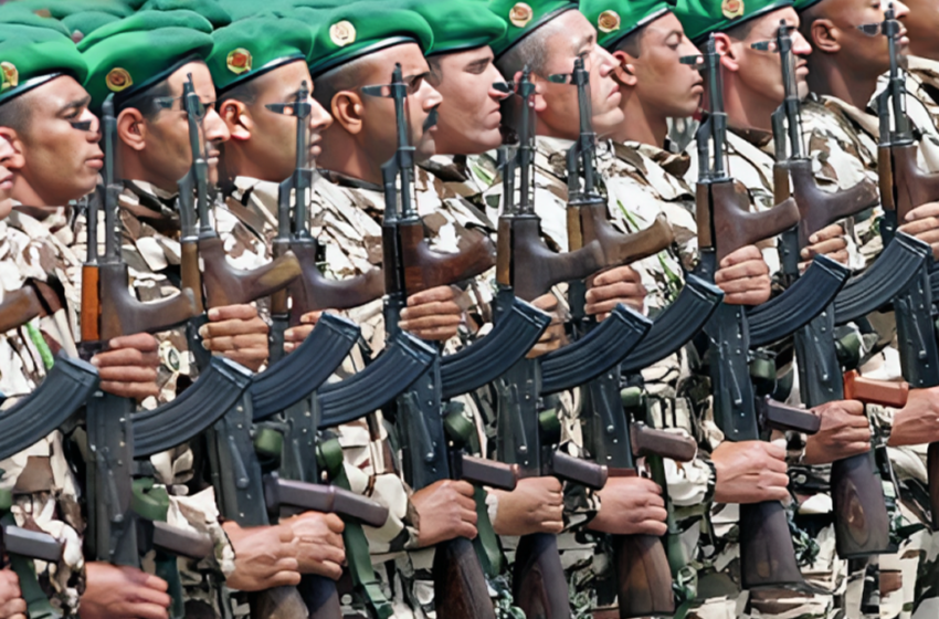 ذكرى تأسيس القوات المسلحة الملكية.. 68 سنة من المنجزات والمهام النبيلة في خدمة الوطن