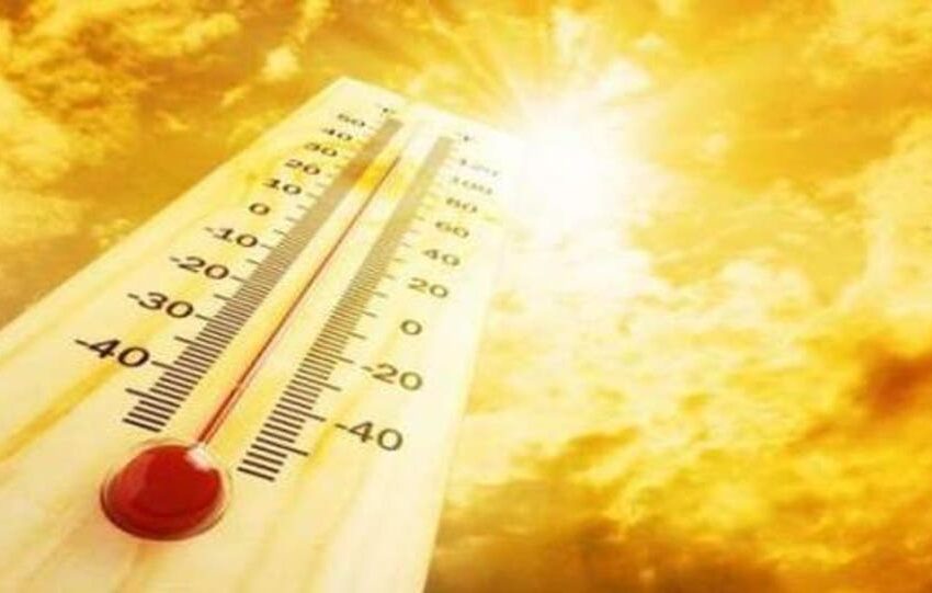 طقس الجمعة.. أجواء حارة مع قطرات مطرية في عدة مناطق