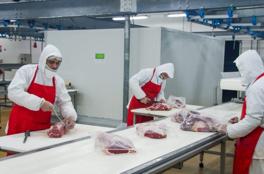 مجازر الدار البيضاء تنجح مرة أخرى في نيل شهادة الجودة وعلامة “حلال”