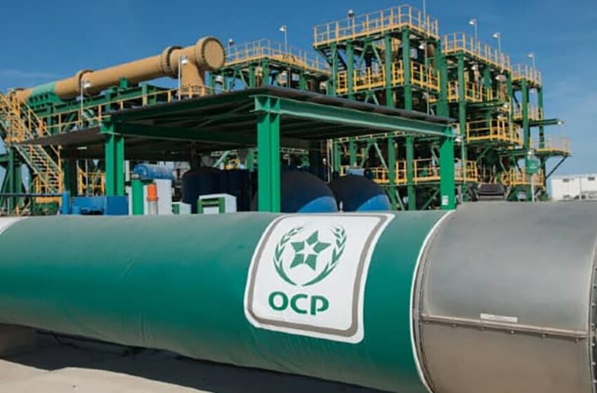 ارتفاع قيمة صادرات الفوسفاط ومشتقاته بنسبة 4,7 في المئة