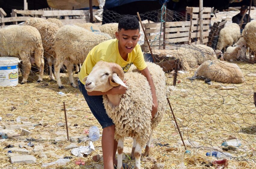 عيد الأضحى.. احتفالية دسمة بإكراهات صحية تستلزم الحيطة