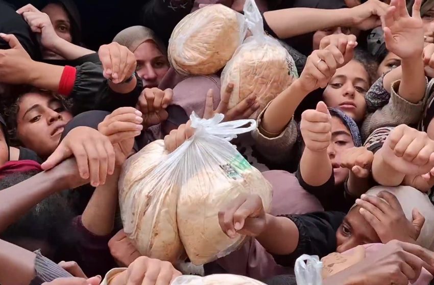 فلسطينيات دفعن حياتهن ثمنا لرغيف خبز